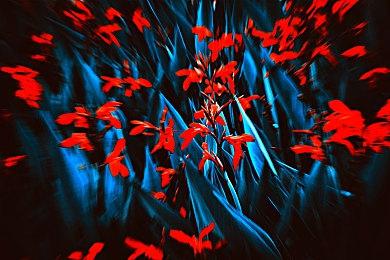 更多折磨！ 合作平台跳跃《链在一起》现已推出地图编辑器